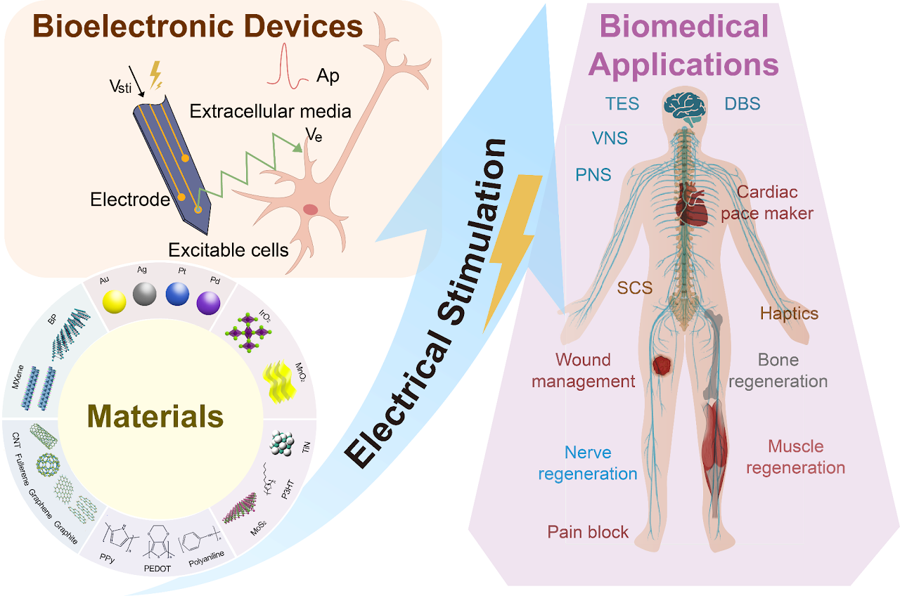 Bioelectronics for electrical stimulation: materials, devices and biomedical applications