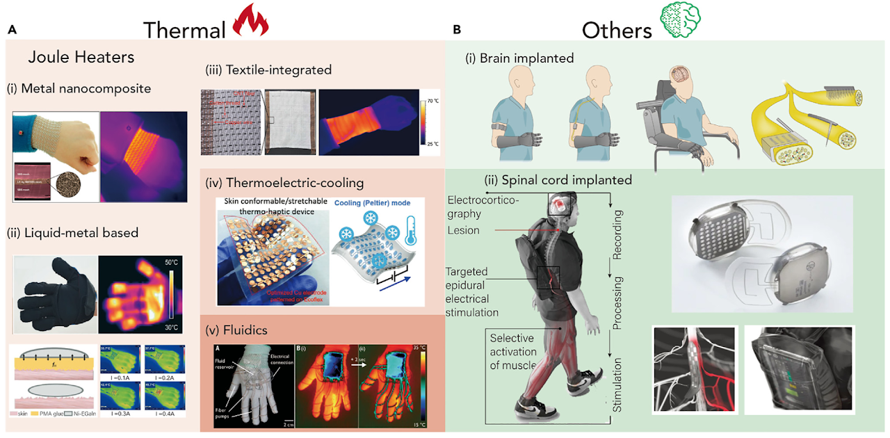 Advances in Materials for Haptic Skin Electronics